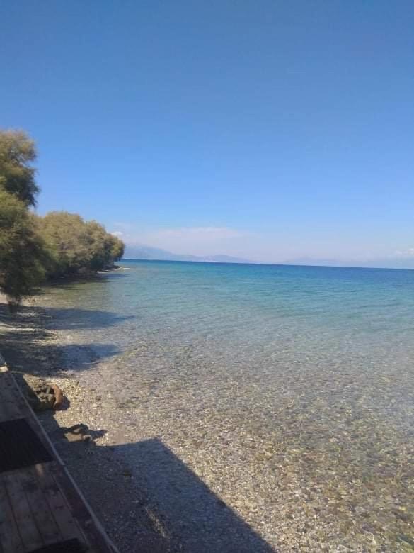 V Akrata